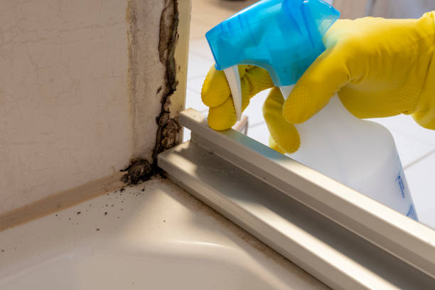 Best Residential Mold Remediation in Baldn, WI