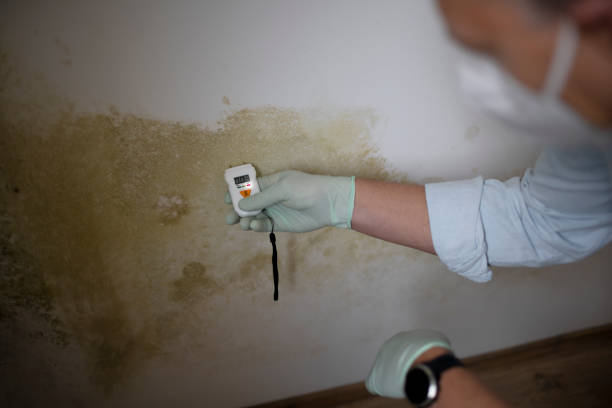 Best Mold Testing and Inspection Services in Baldn, WI