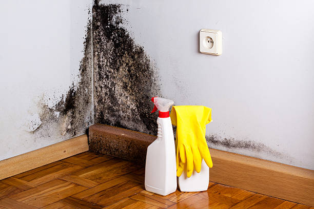 Baldwin, WI Mold Remediation Company